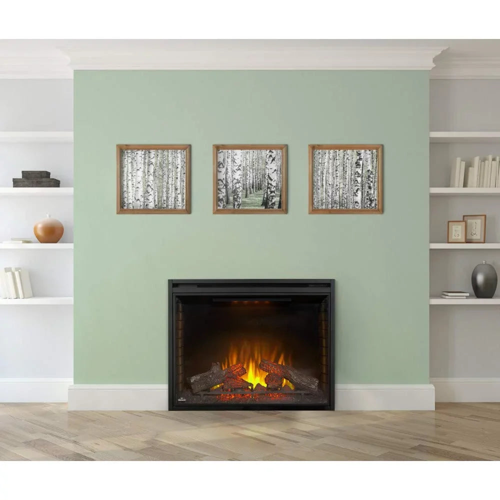 Built-in in. Firebox 40 Napoleon Electric Insert