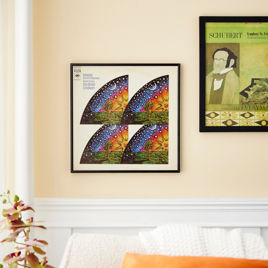 LP Pack Décor - Album Black Includes 12 Bulk Frame Vinyl by Frame Display - Hanging Studio Picture Hardware