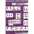 Back, Biceps, CRTLL Resistance Fitness Legs, and Laminated - Productive Triceps Chest Tubing
