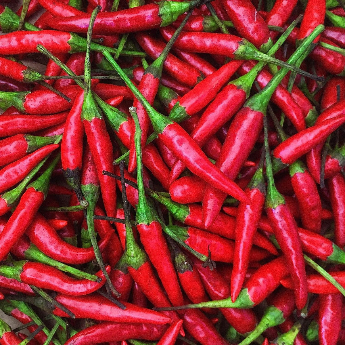 Thai Peppers Fresh oz) (16 Lb -1 Chili Red