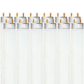 Medium G13 Bright Luxrite Bulb, 32W Fluorescent Inch White, Lumens, Bi-Pin LR20734, 12-Pack Tube T8 2800 Base, Light 5000K F32T8/850 48