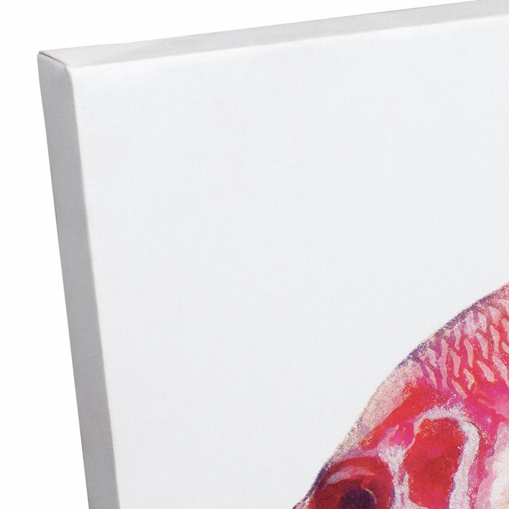 Fish Canvas 12x18 Products Wall Tropical Art Snapper Red Creative
