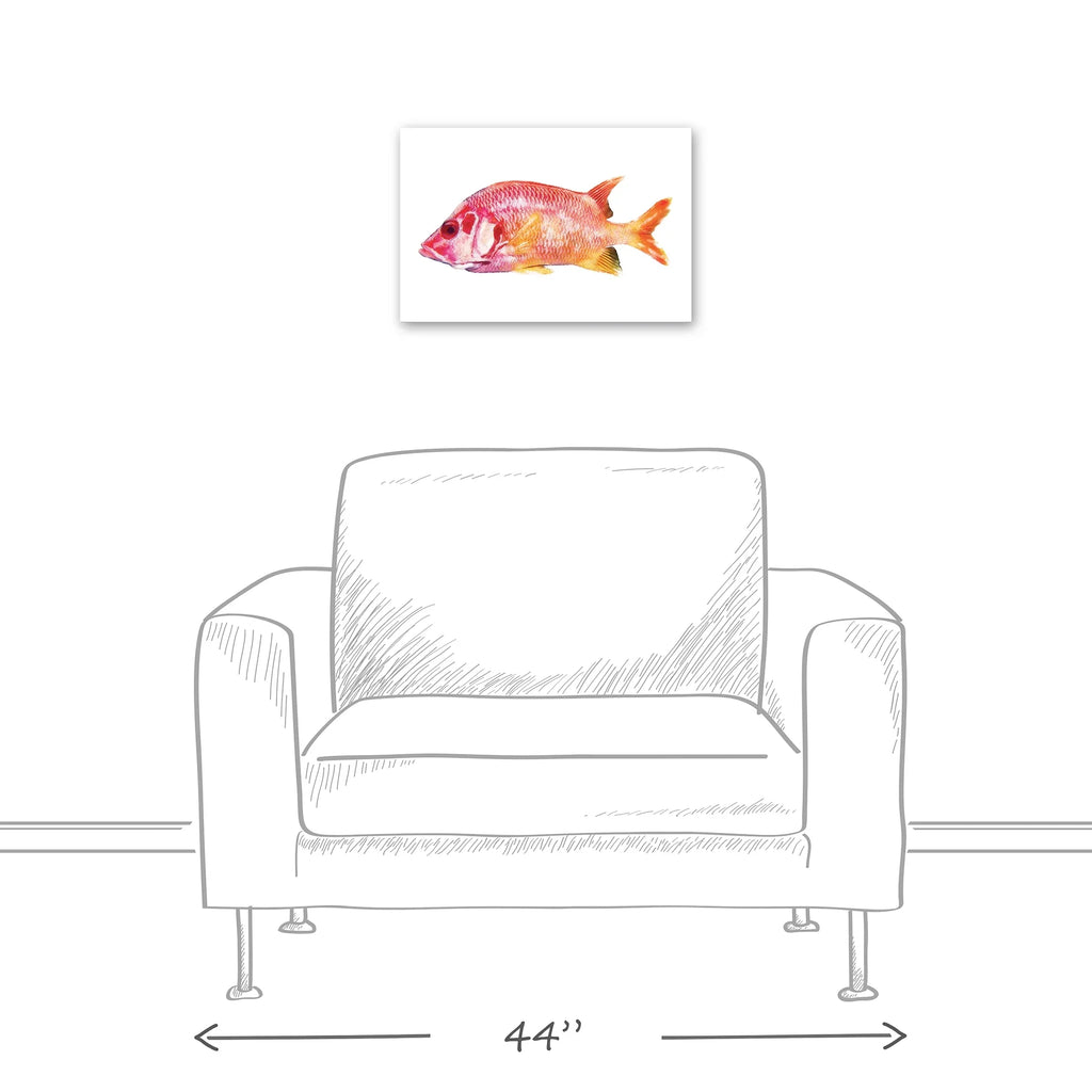 Fish Canvas 12x18 Products Wall Tropical Art Snapper Red Creative