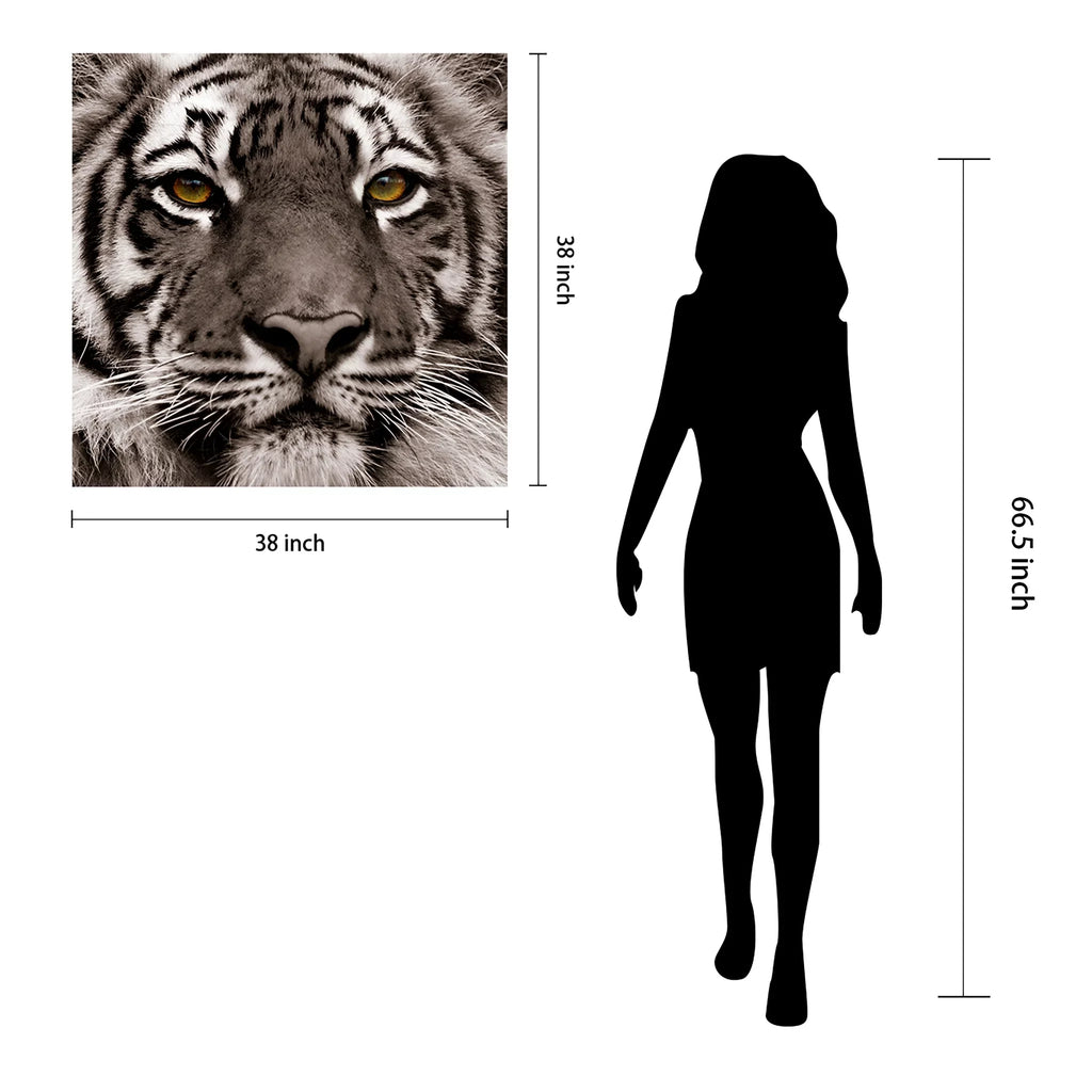Direct Art, Hang Frameless Floating x Free Wall to Empire of 38" Panel 0.2", Ready 38" Tempered Glass Graphic Eye the Tiger x Art