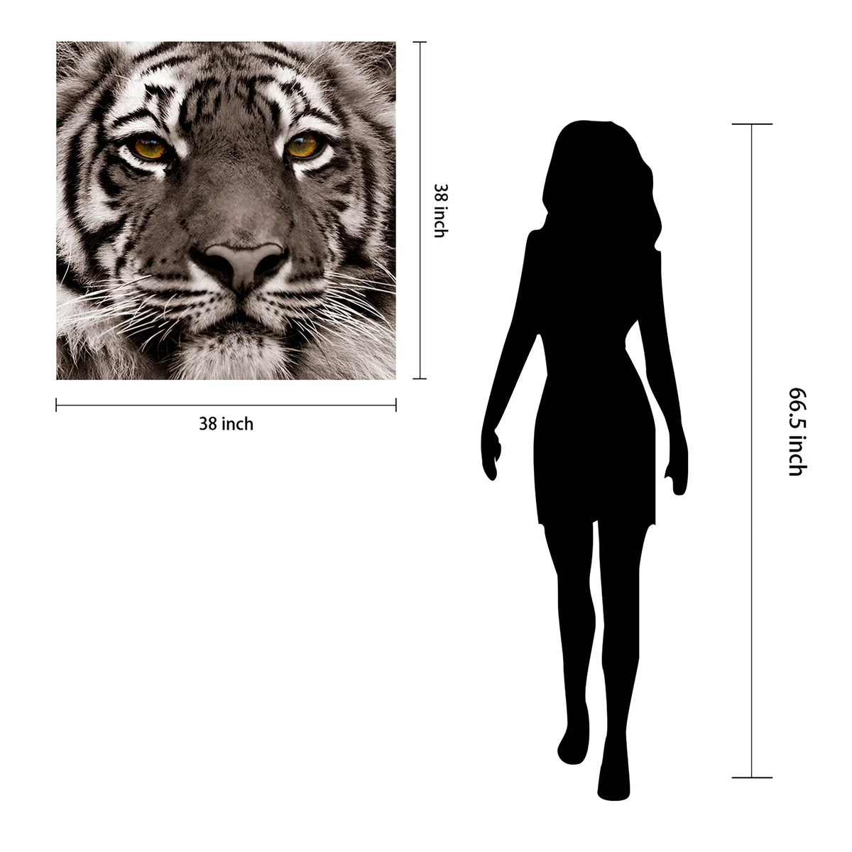 Direct Art, Hang Frameless Floating x Free Wall to Empire of 38" Panel 0.2", Ready 38" Tempered Glass Graphic Eye the Tiger x Art
