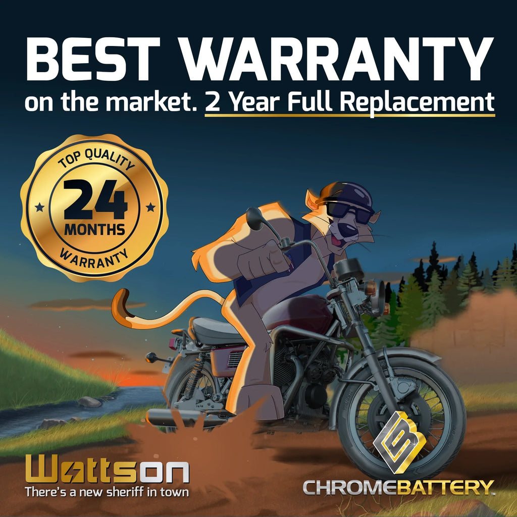 for (14AHL-BS Volt,12 Arctic Battery 12 YTX14AHL-BS 210 Chrome Pantera CCA) Snowmobile Ah, Battery Cat 1993