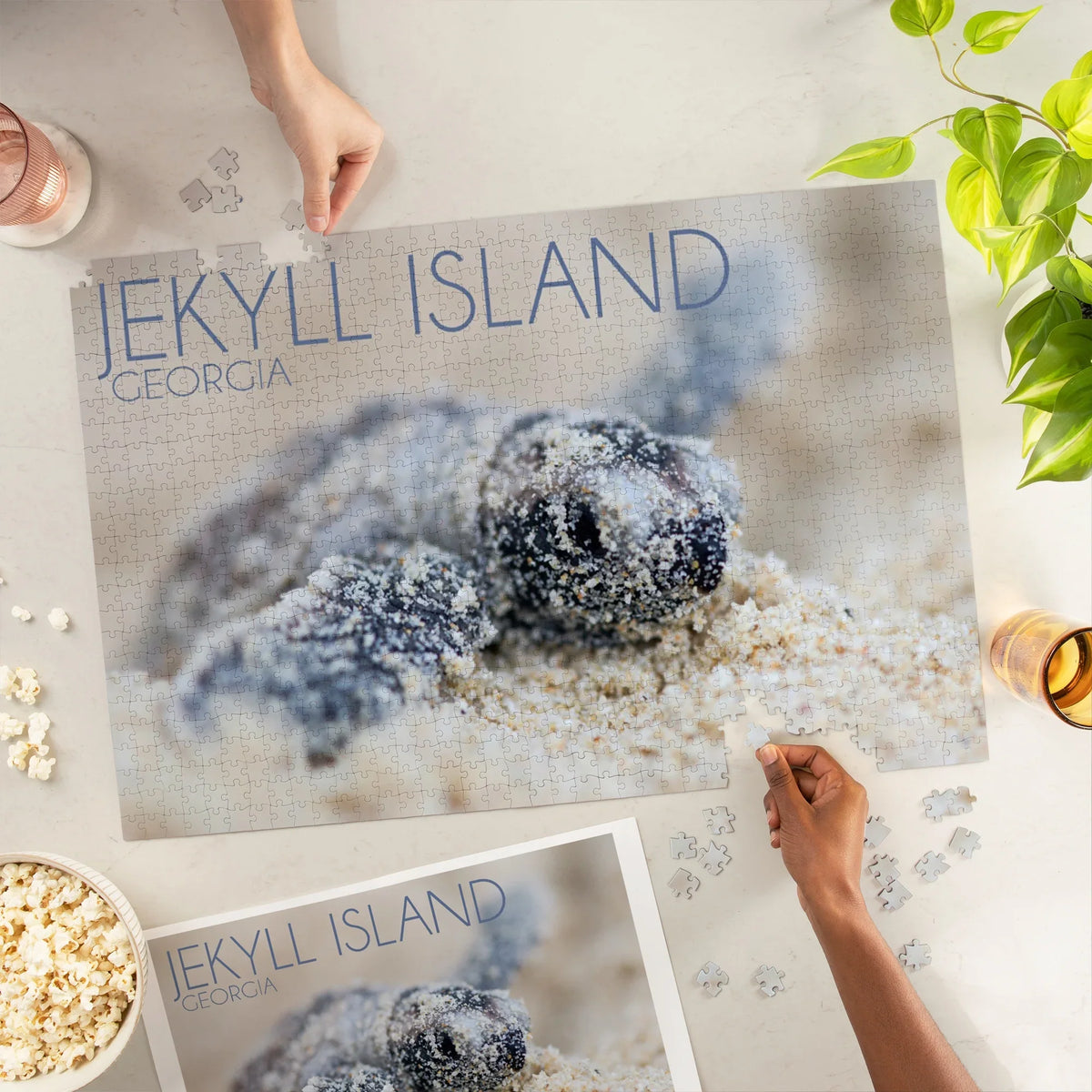 1000 Turtle Puzzle, Hatching Georgia, Lantern Jigsaw Hawksbill Piece Jekyll Press Island,