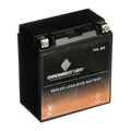 Sc YTX16L-BS Volt,14 (16L-BS for 230 Battery CCA) Kawasaki Battery 12 Ski Ah, 1995 Jl650 Jet Chrome