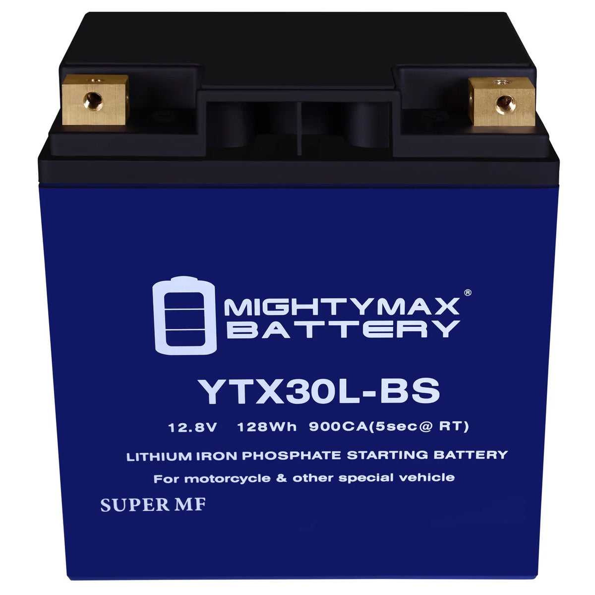 Sea Bombardier Battery Lithium Polaris Doo compatible YTX30L-BS GTX Replacement with