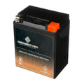 for (14AHL-BS Volt,12 Arctic Battery 12 YTX14AHL-BS 210 Chrome Pantera CCA) Snowmobile Ah, Battery Cat 1993